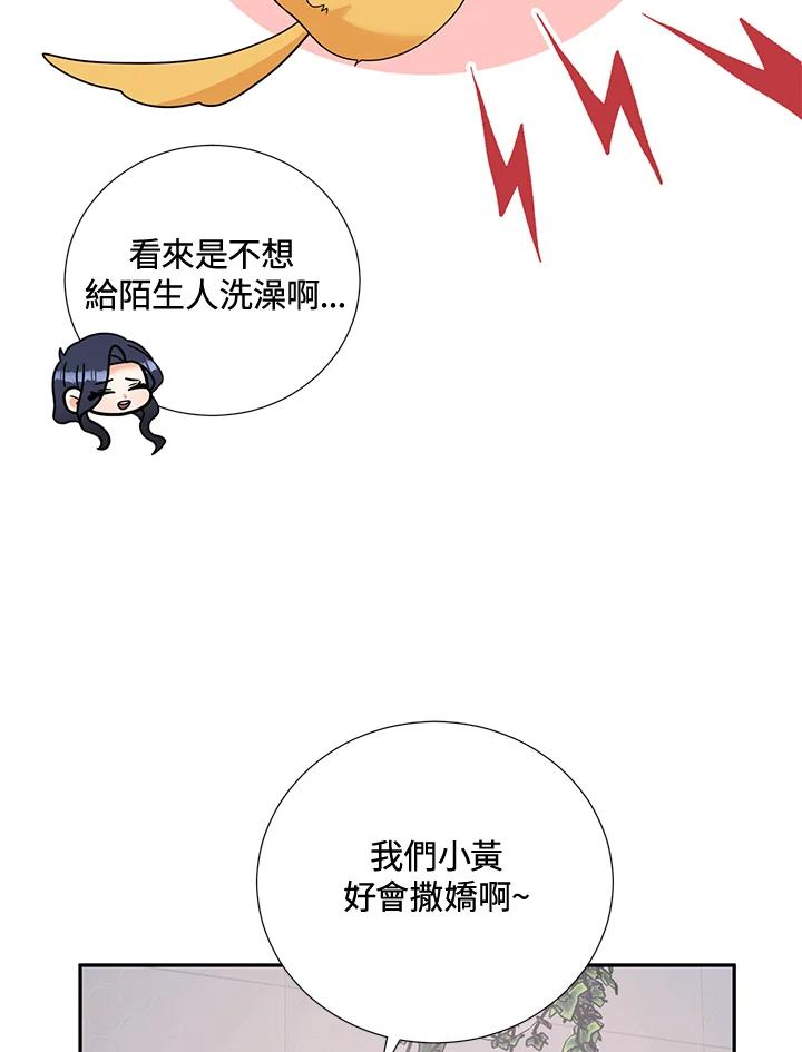 《替身未婚夫》第34话 第54页