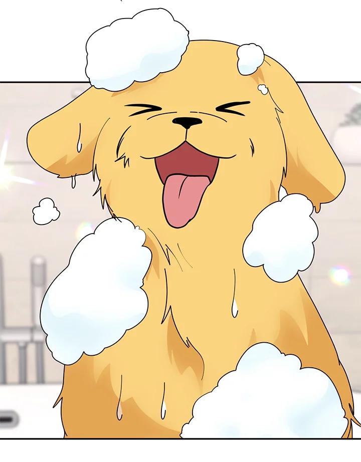 《替身未婚夫》第34话 第45页