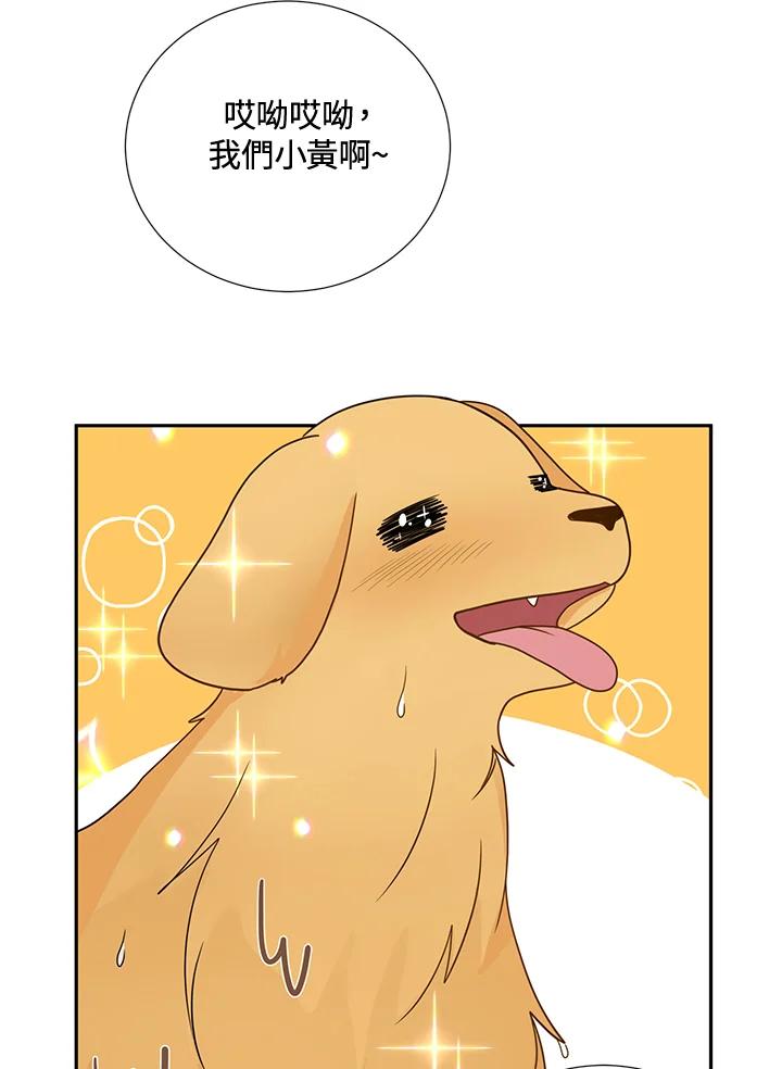 《替身未婚夫》第34话 第78页