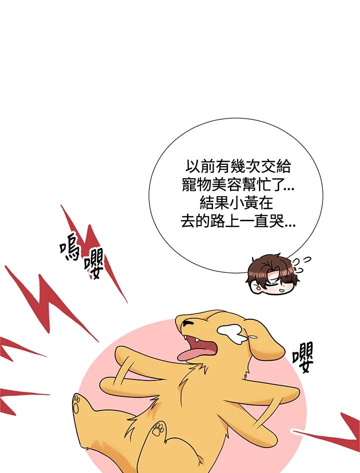 《替身未婚夫》第34话 第53页