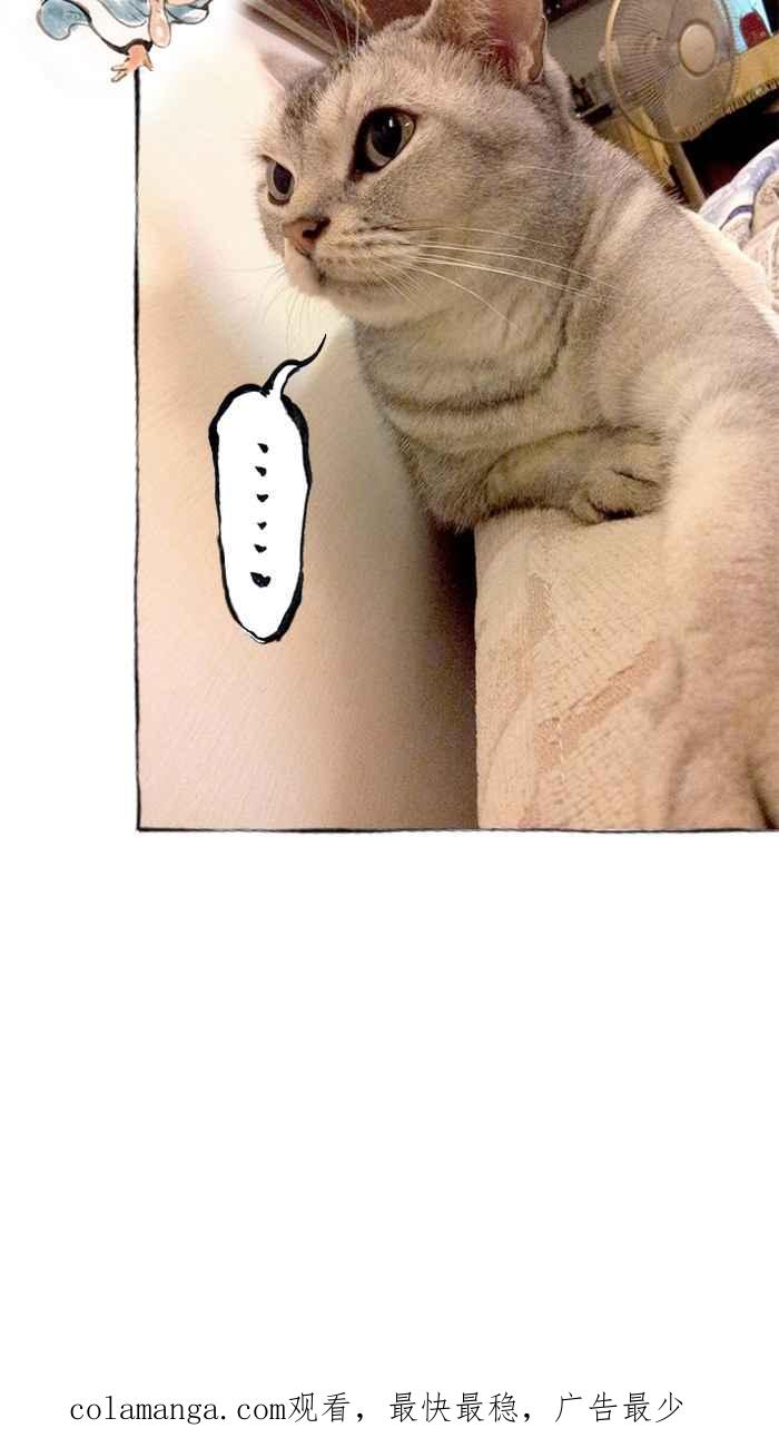 猫剑客 [第69话] 折翼天使 拾贰，修 第42页