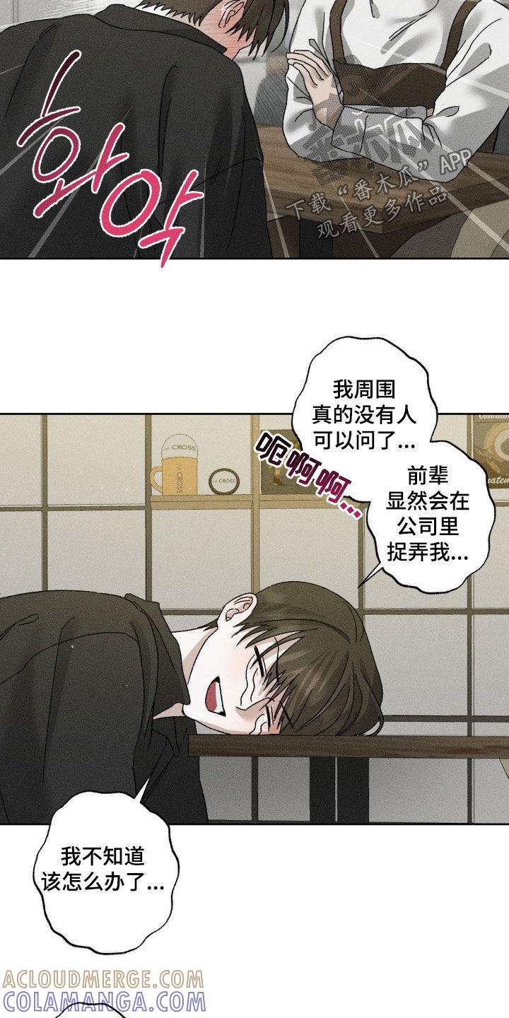 《特写爱意》第41章：情感咨询 第5页
