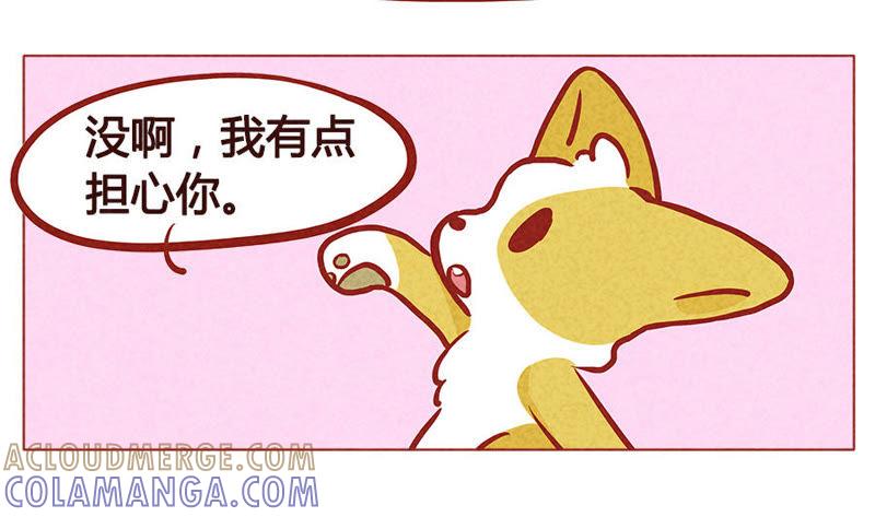 《妹妹？女儿？吸血鬼？》请放弃我吧 第13页