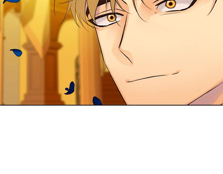 《King's Maker》第34话 正式告白 第215页