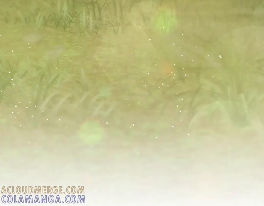 《凡菲尔德的秘密》第10话 彼此的秘密 第217页