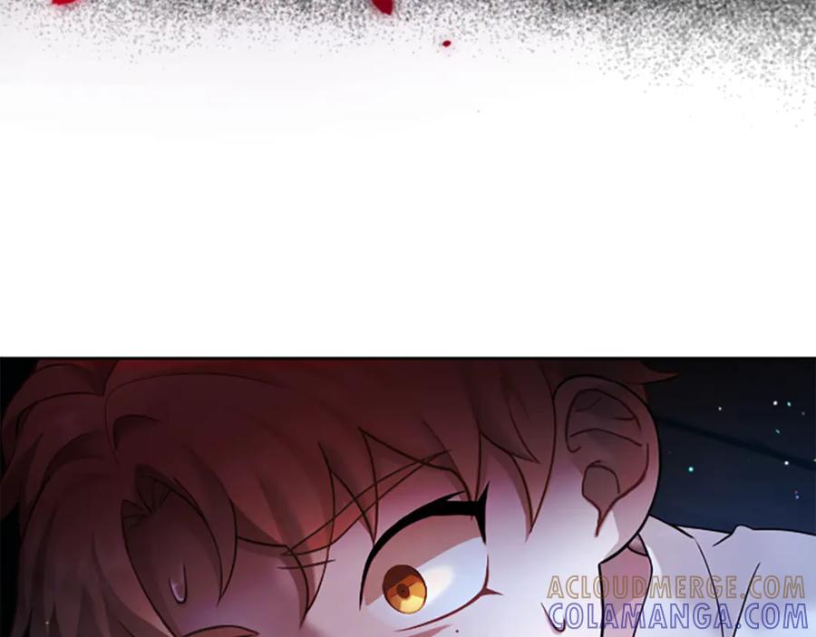 《凡菲尔德的秘密》第5话 惶惶不可终日 第177页