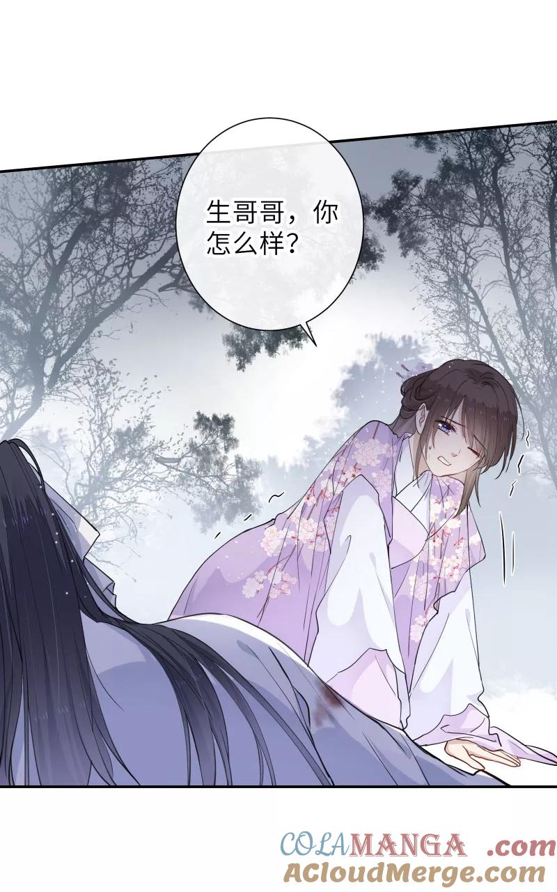 《镜花殇》[第43话] 那夜的地老天荒 第28页