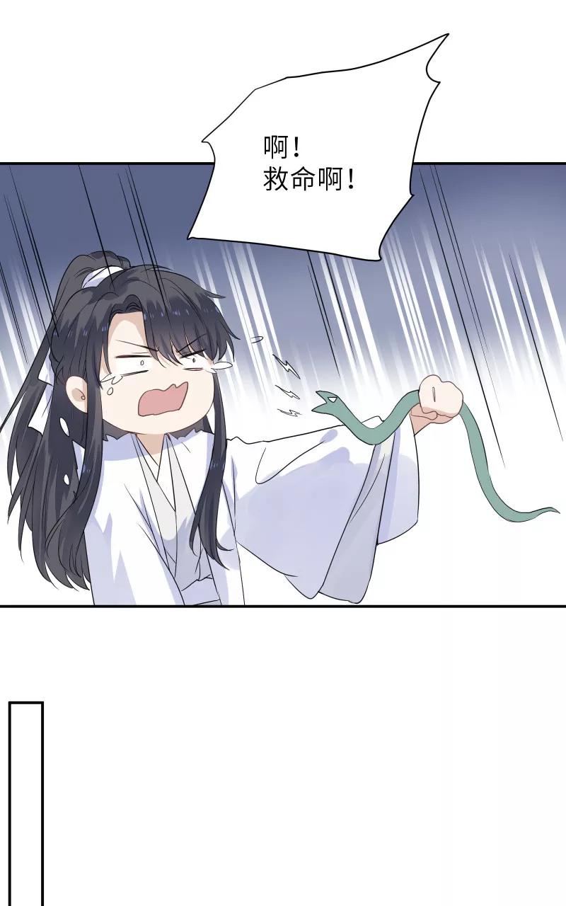 《镜花殇》[第43话] 那夜的地老天荒 第51页