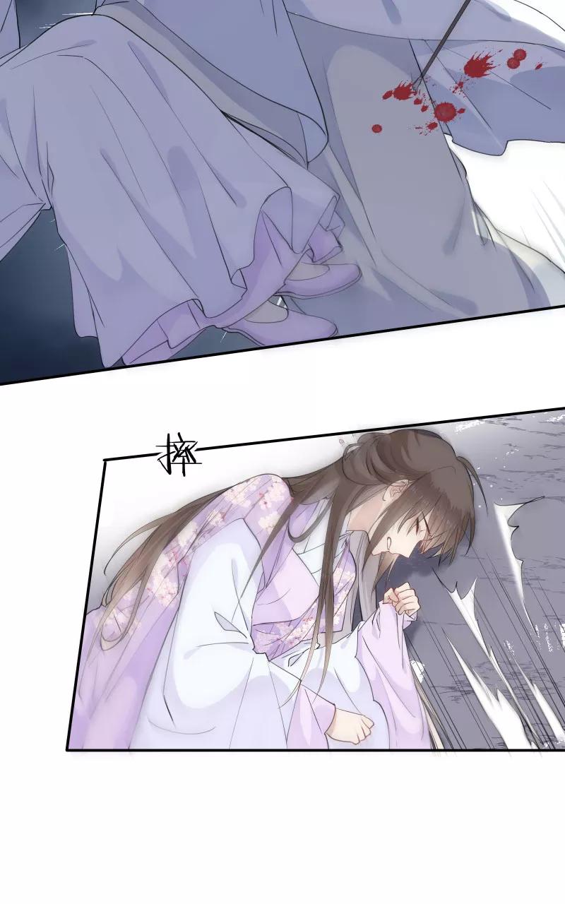 《镜花殇》[第43话] 那夜的地老天荒 第27页