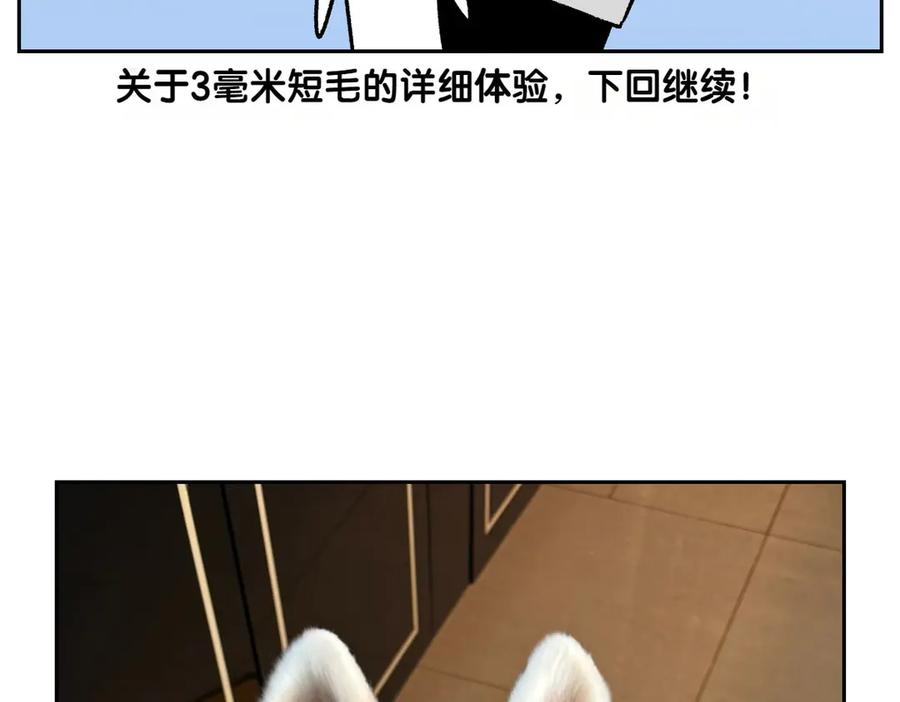 《我的狗子叫棉花》第53话 剪成小平头 第47页