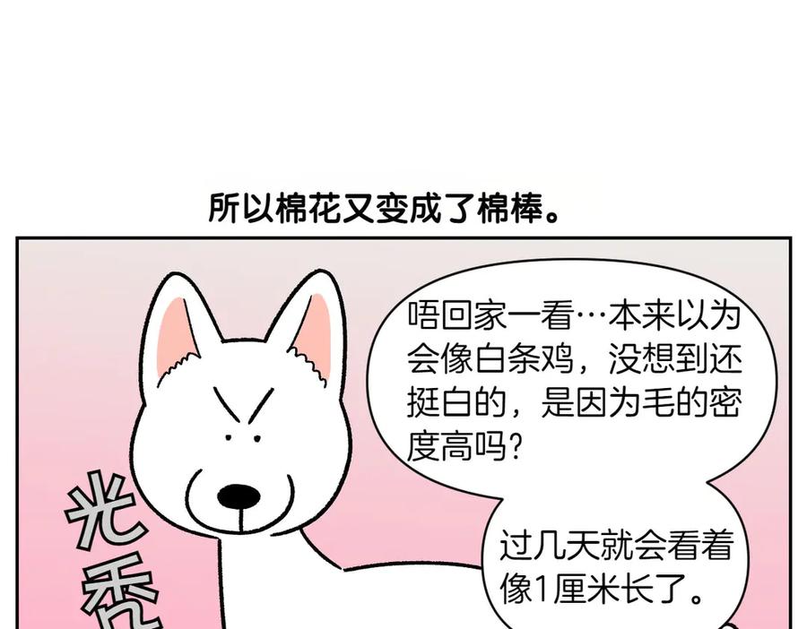 《我的狗子叫棉花》第53话 剪成小平头 第44页