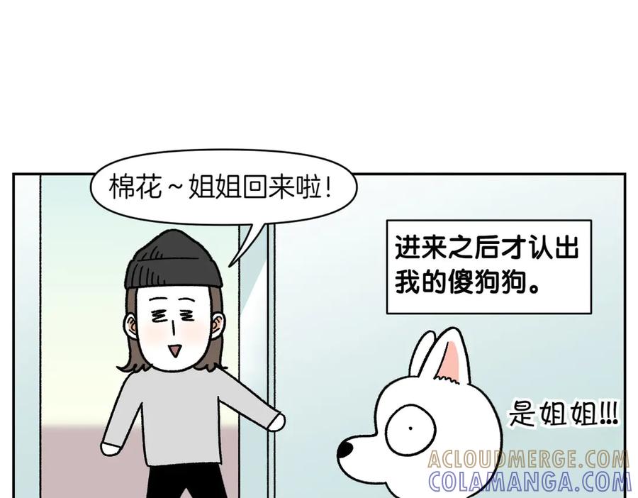 《我的狗子叫棉花》第53话 剪成小平头 第40页