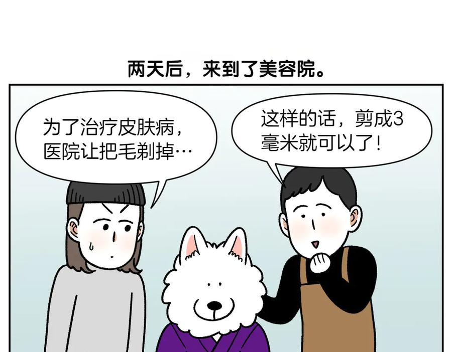 《我的狗子叫棉花》第53话 剪成小平头 第36页
