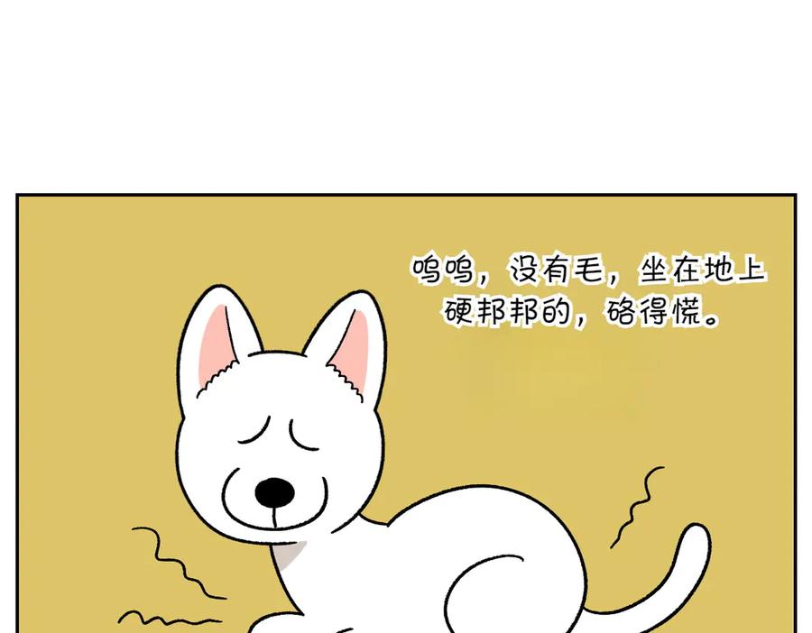 《我的狗子叫棉花》第54话 一起在床上睡吧 第6页