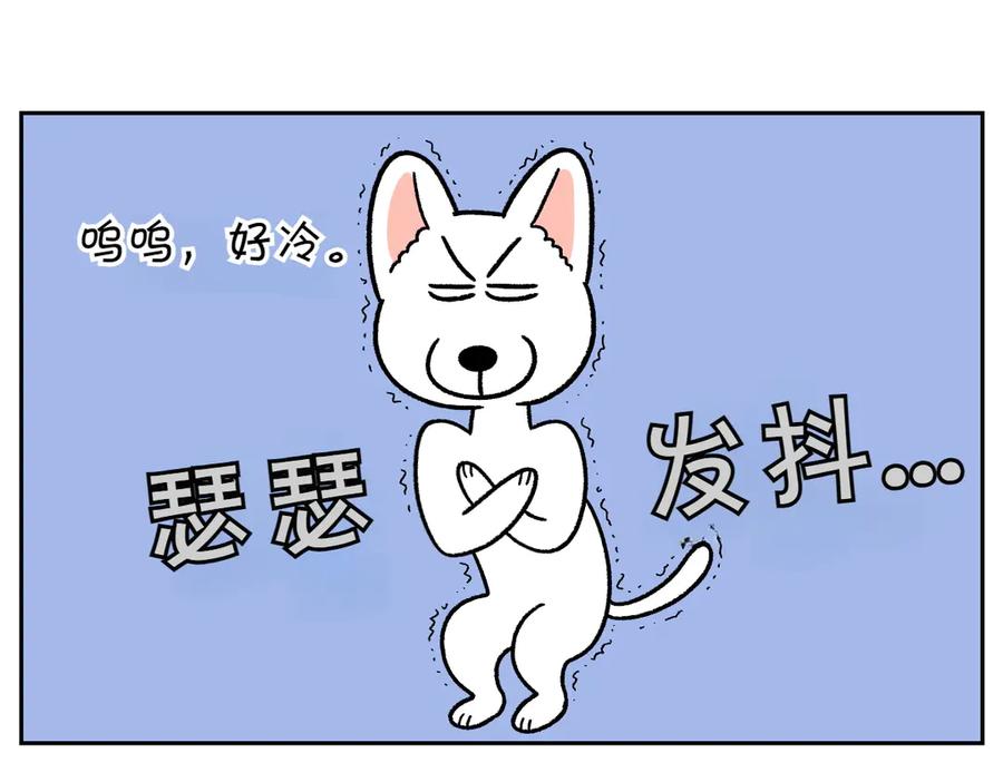 《我的狗子叫棉花》第54话 一起在床上睡吧 第5页