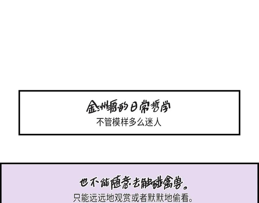 《不是爱情》第44话 他们平凡的早晨 第119页