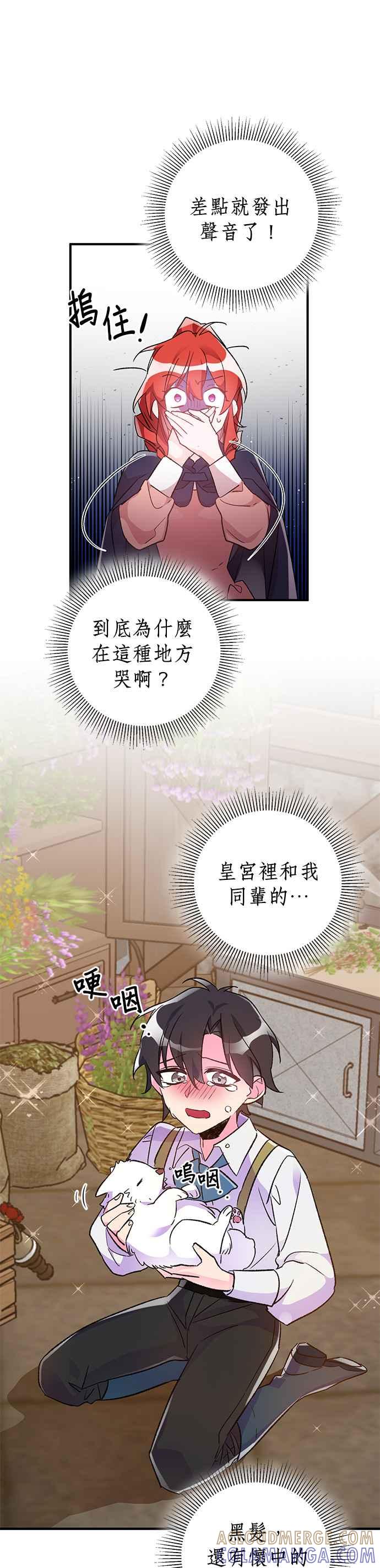 《公爵千金驯男记》第36话 第23页