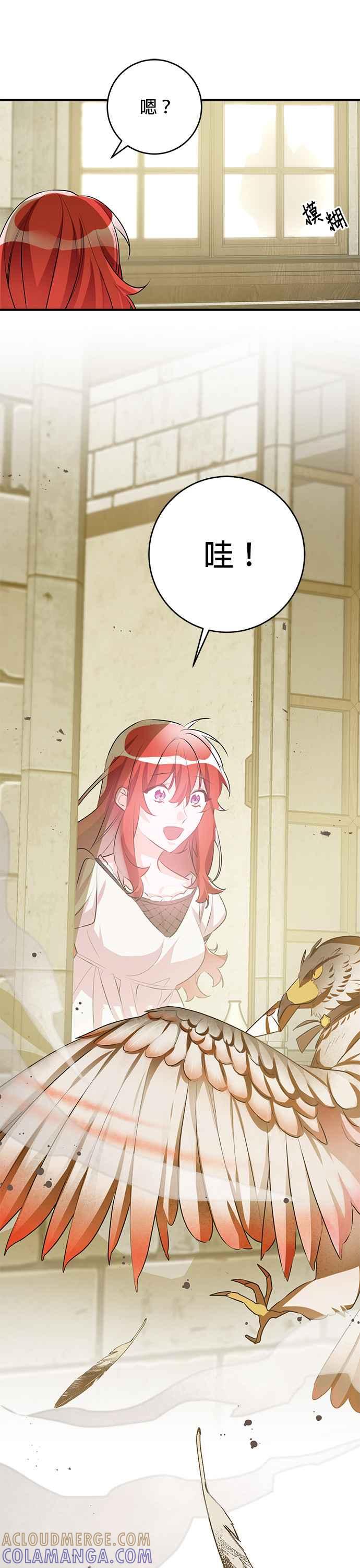 《公爵千金驯男记》第49话 第9页