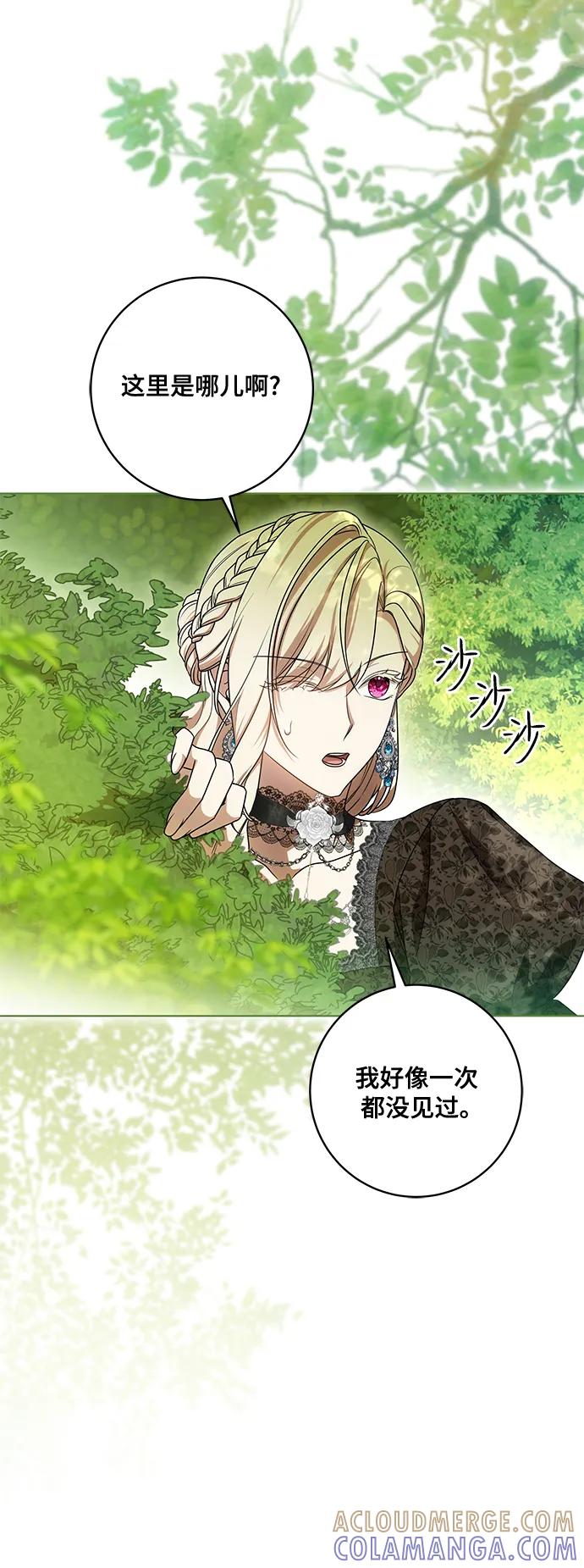 代价是你们的一切 [第78话] 迈伊德兰特的文化 第49页