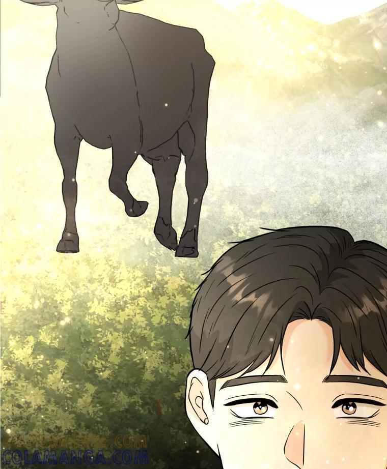 《金牌设计师》43.意外之喜 第109页