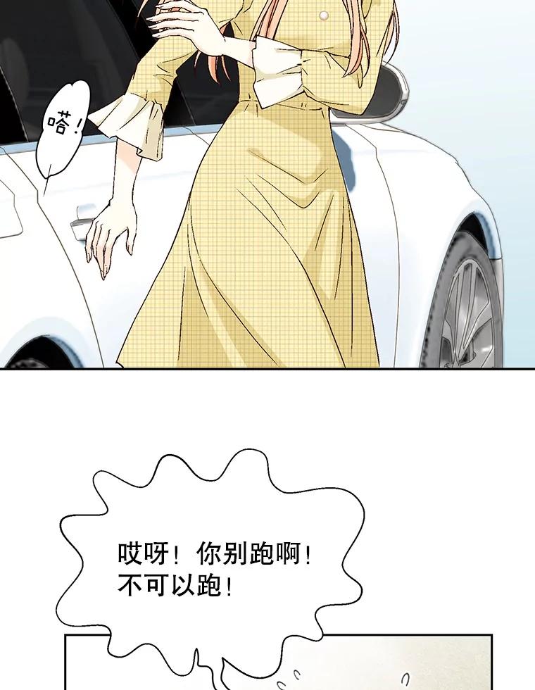 《我喜欢春天般的你》133.讨厌的曹峻瑜！ 第68页
