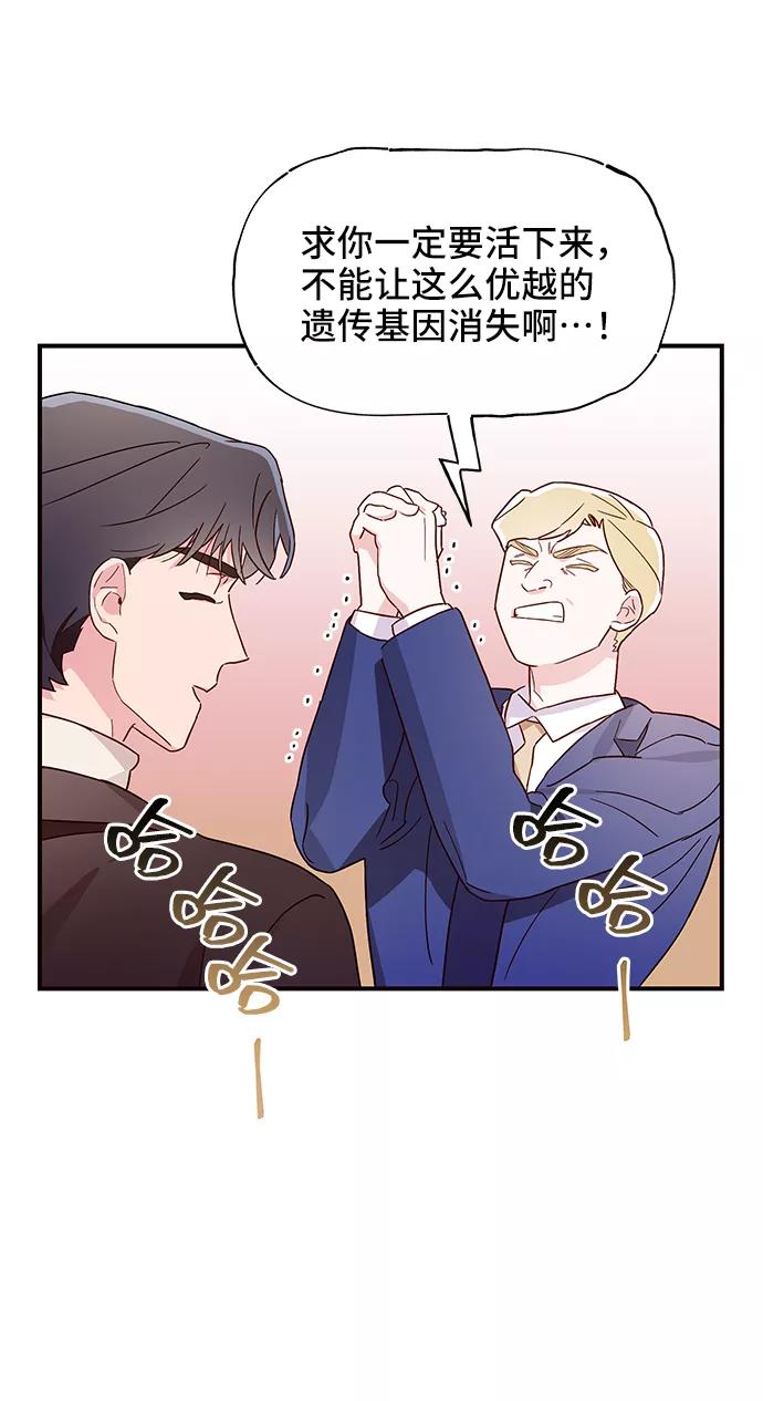 《今日的维纳斯》第13话 第15页