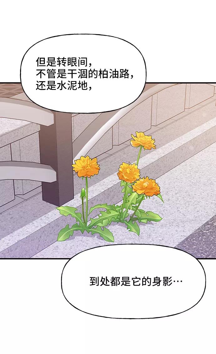 《今日的维纳斯》第18话 第65页