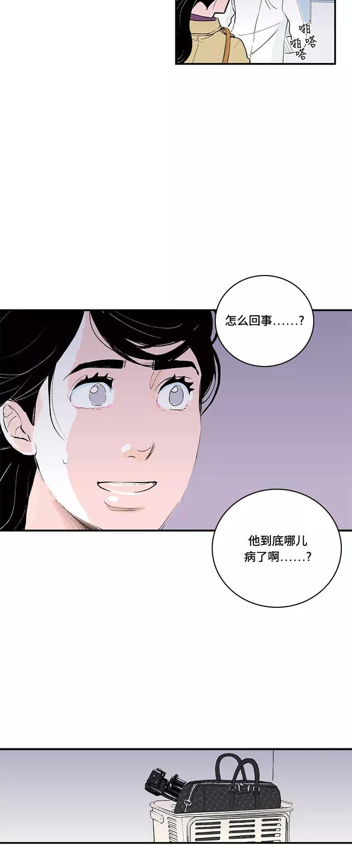 《伪装禁忌之恋》第41话 第14页