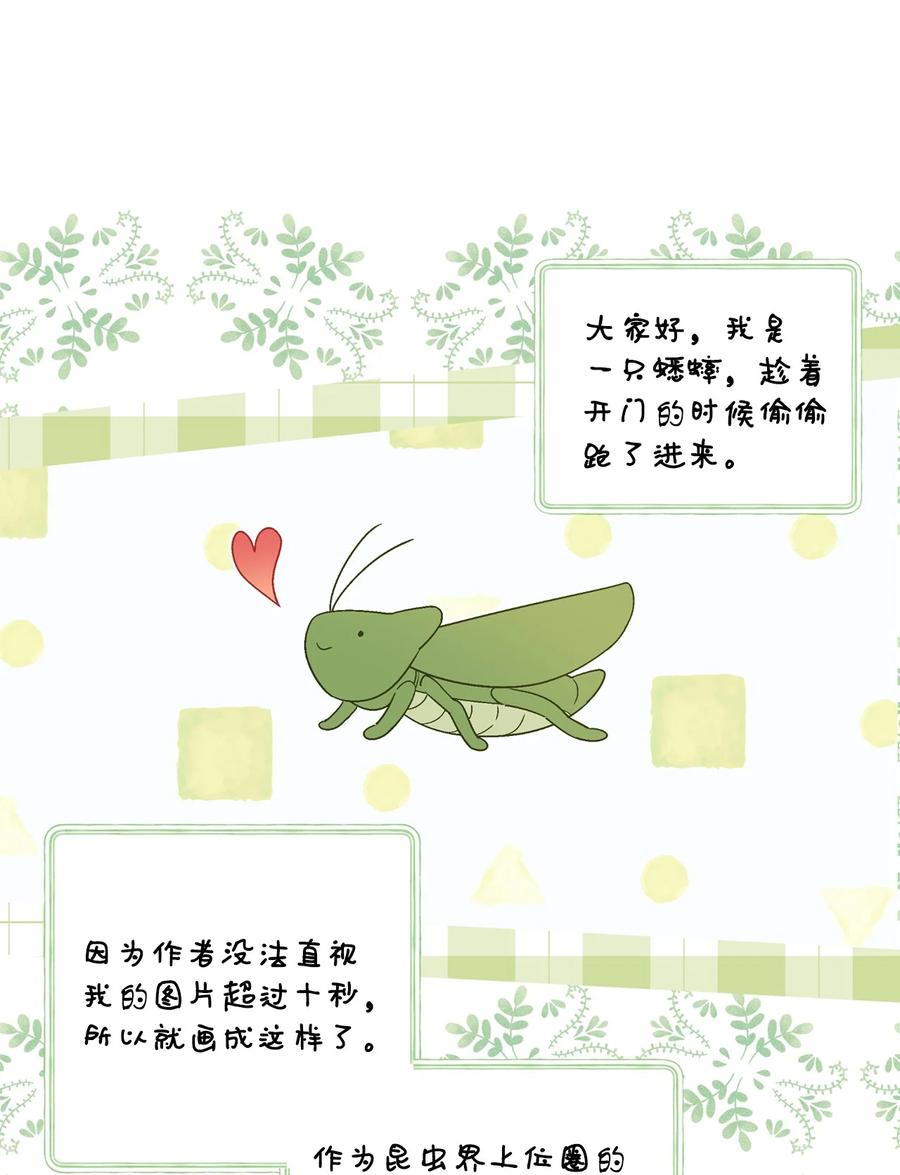 Merry Marbling 云石般的我们 74 他们俩的关系是？ 第62页