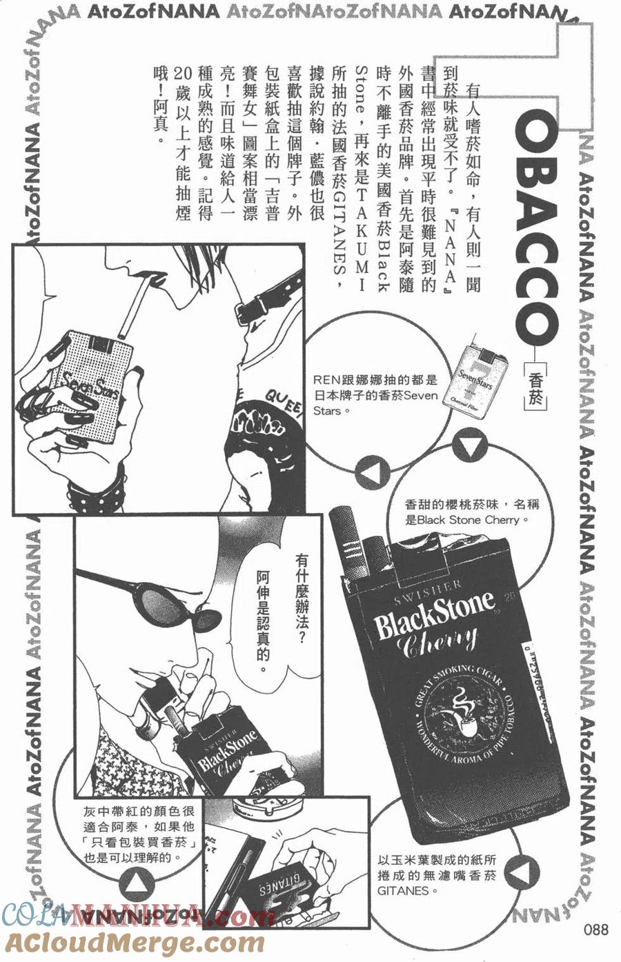 《NANA世上的另一个我》NANA7.8卷公式设定集 第89页