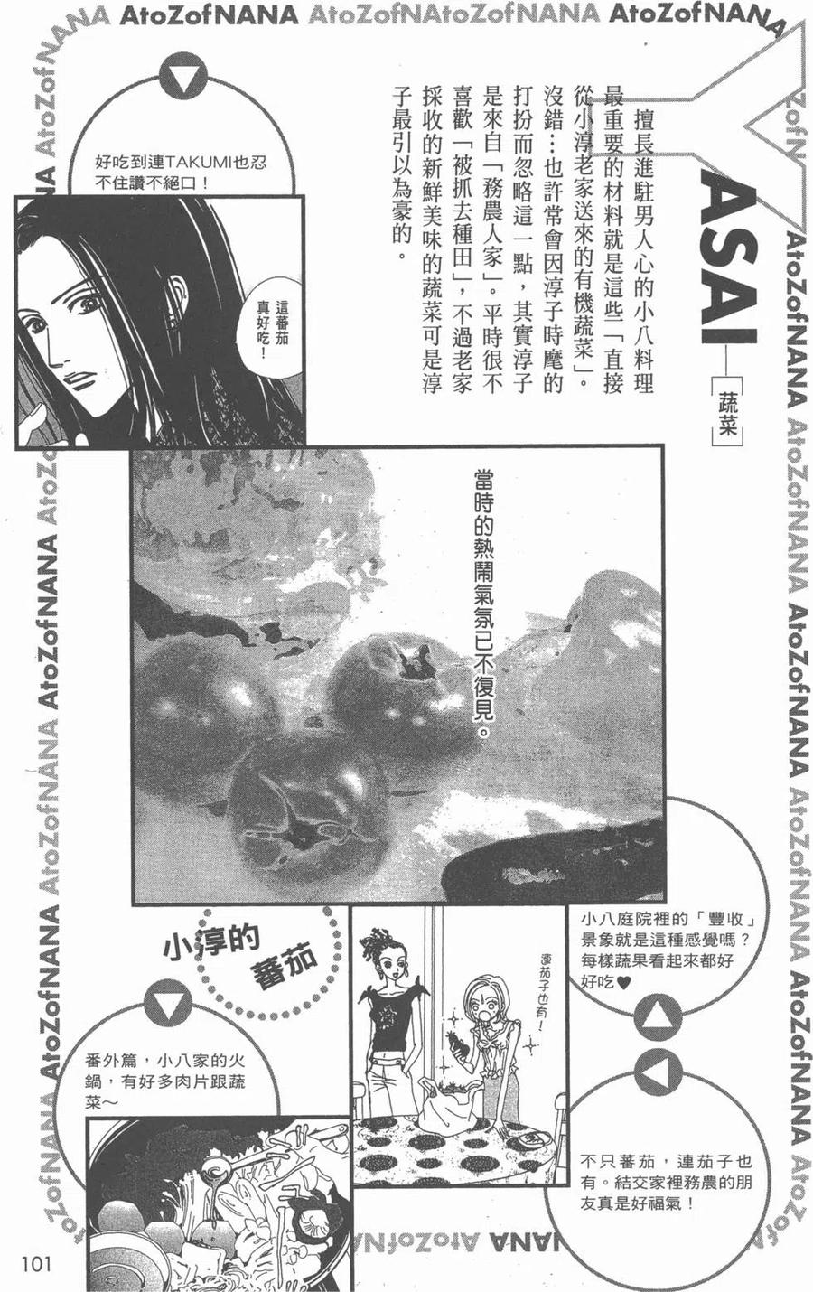 《NANA世上的另一个我》NANA7.8卷公式设定集 第102页