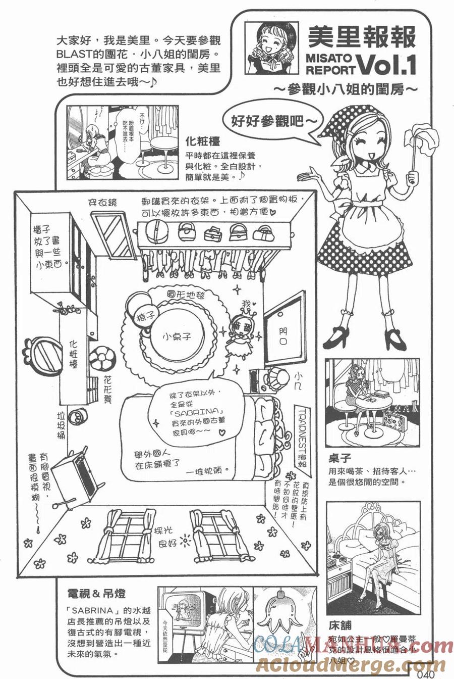 《NANA世上的另一个我》NANA7.8卷公式设定集 第41页