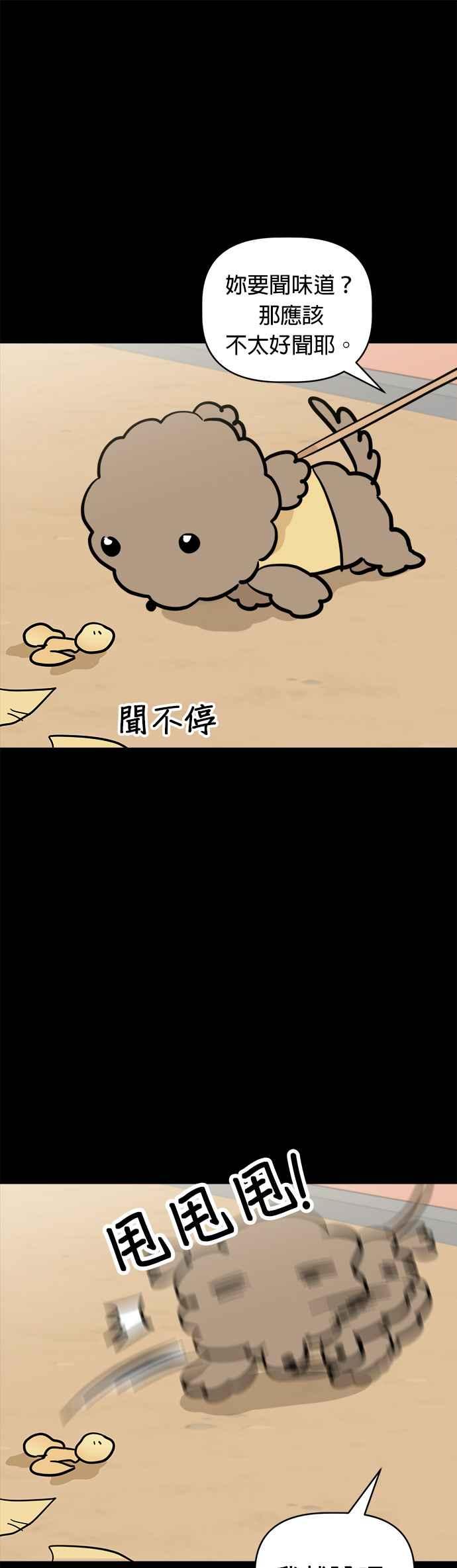 我家妹妹是狗狗 第107话 两个笨蛋 第29页