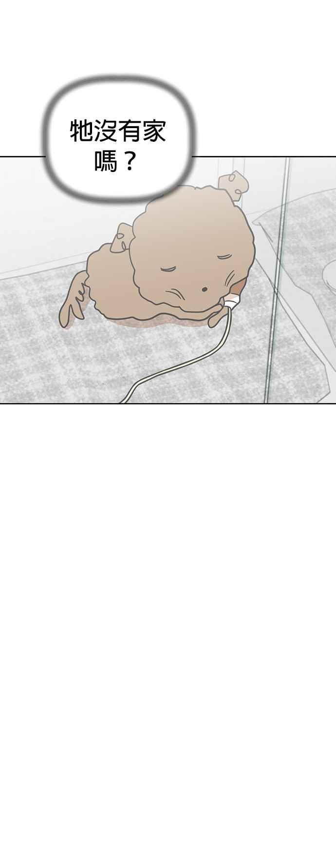 我家妹妹是狗狗 第83话 和小丸的初次相遇(1) 第41页