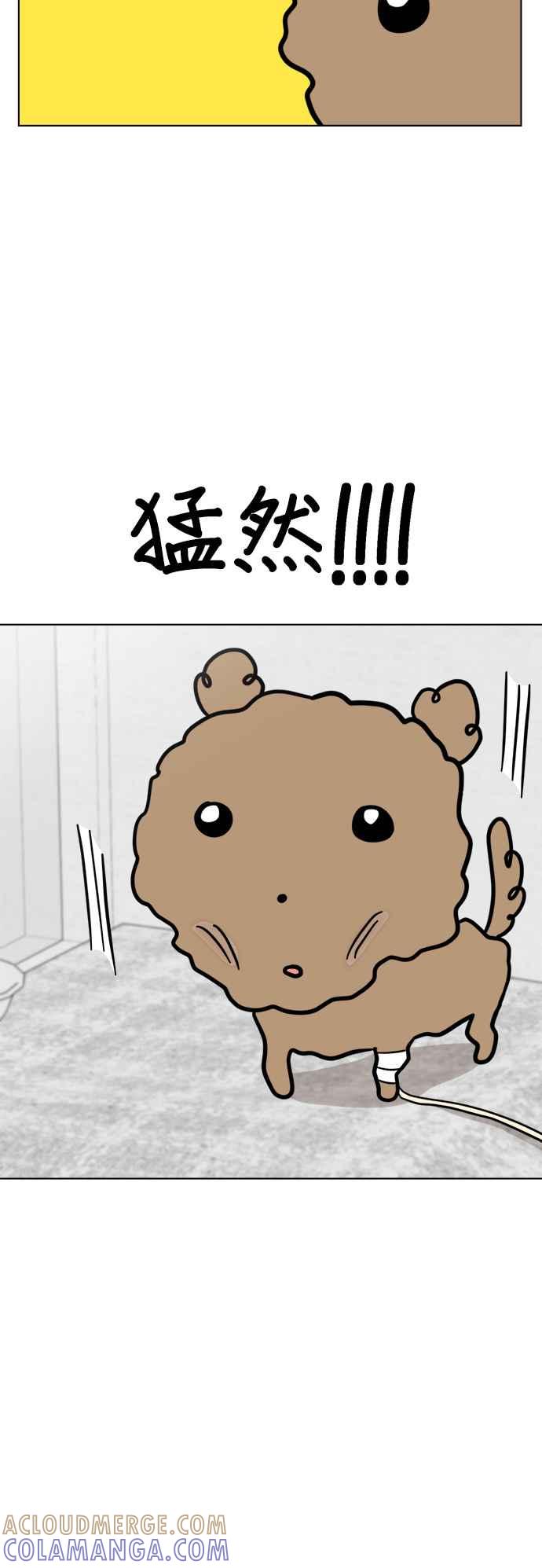 我家妹妹是狗狗 第84话 和小丸的初次相遇(2) 第4页