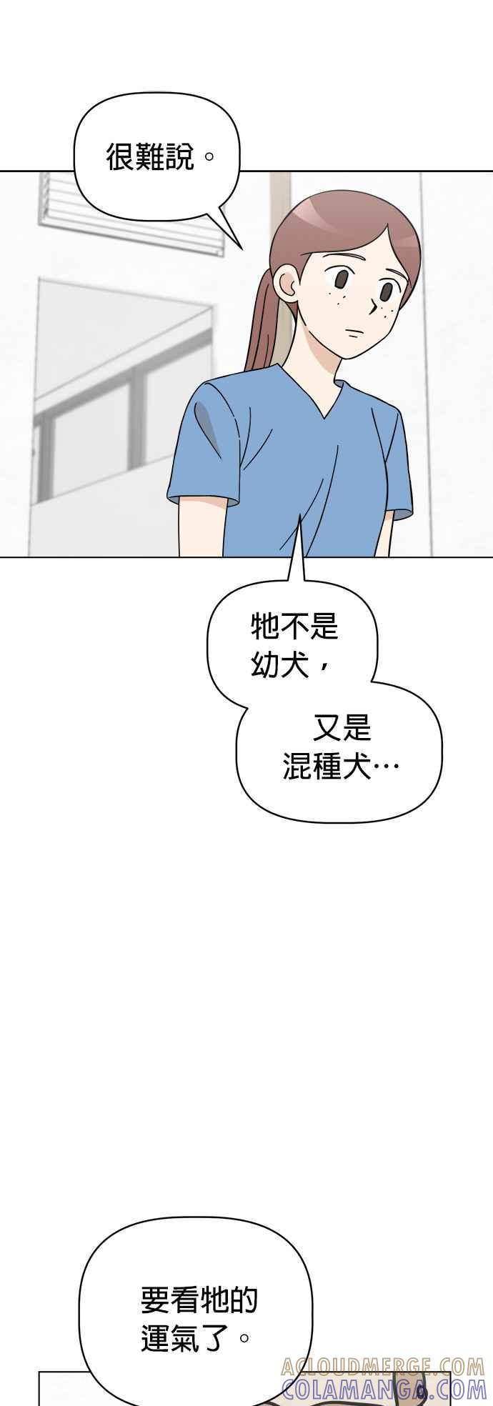 我家妹妹是狗狗 第85话 和小丸的初次相遇(3) 第40页