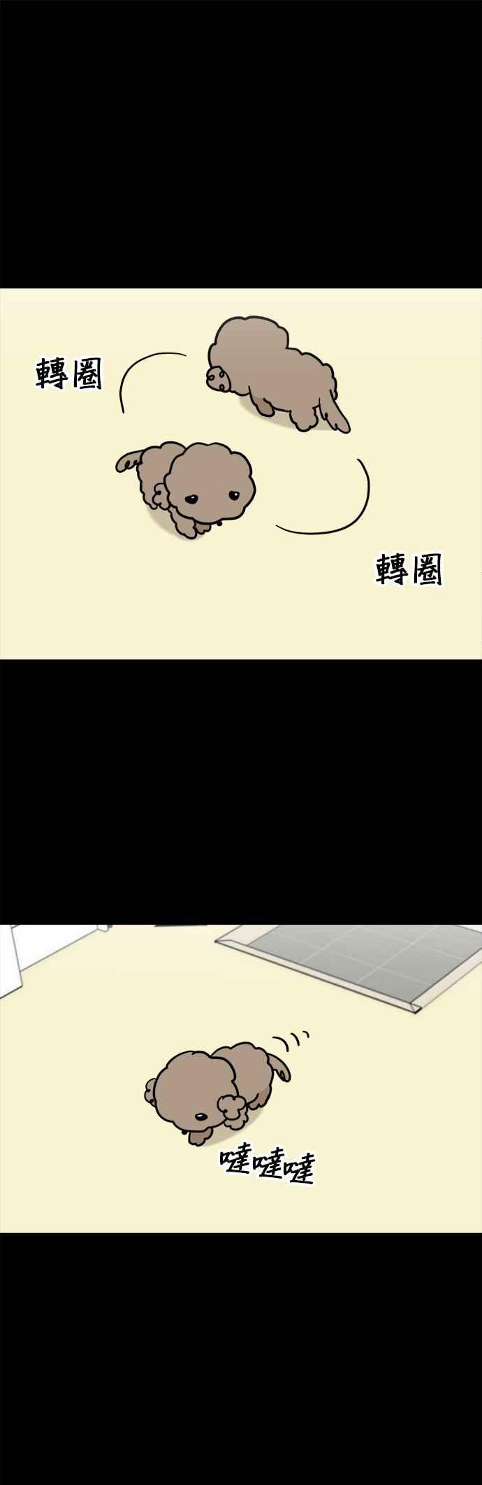 我家妹妹是狗狗 第93话 谁是小丸的第一个朋友？ 第26页