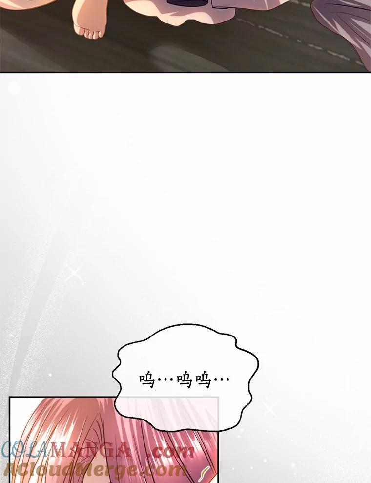 《与陛下同寝的生存法则》71.副官 第13页