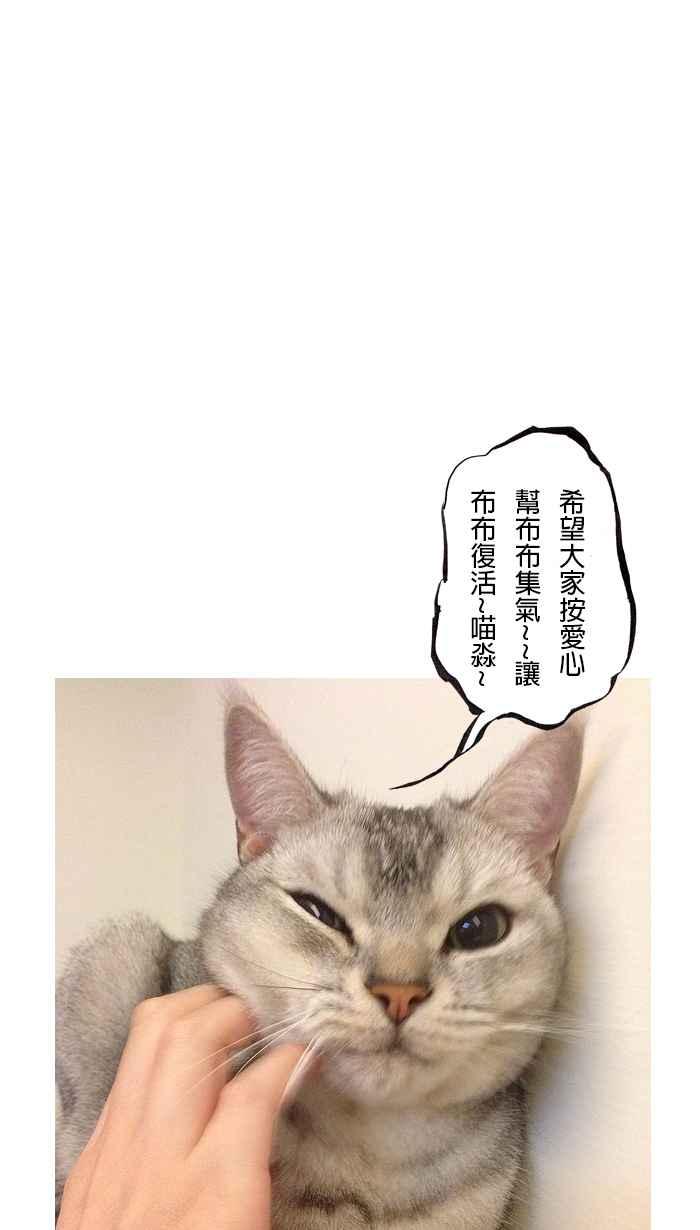 猫剑客 [第71话] 折翼天使 拾肆，垂死 第36页