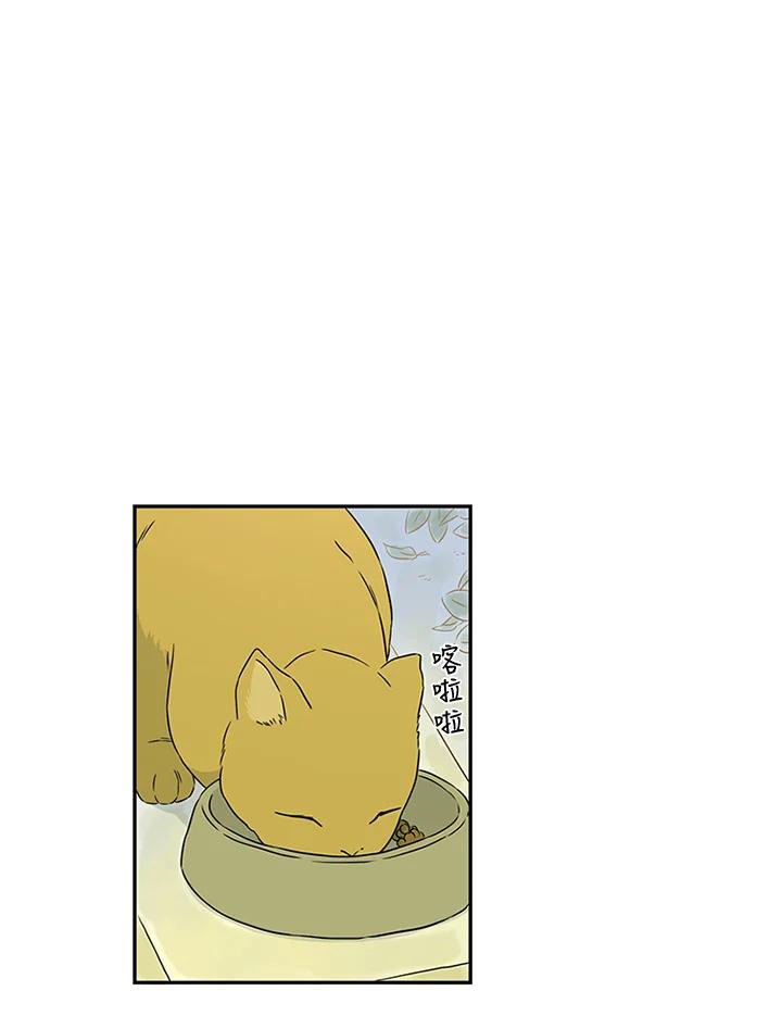 《当微风轻拂而过》第27话 第42页