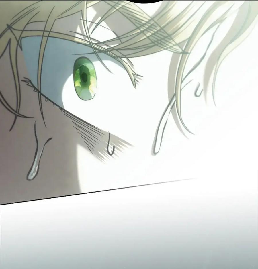 穿越成为暗黑系逆后宫小说男主们的小姨子 - 39 回忆 - 第103张图