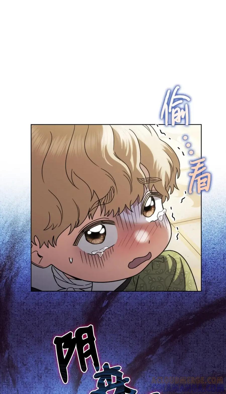 穿越成为暗黑系逆后宫小说男主们的小姨子 - 39 回忆 - 第17张图