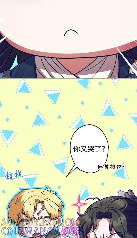 穿越成为暗黑系逆后宫小说男主们的小姨子 - 41 生日礼物 - 第73张图