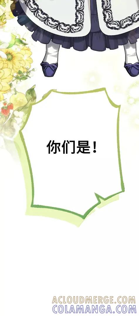 穿越成为暗黑系逆后宫小说男主们的小姨子 - 41 生日礼物 - 第101张图