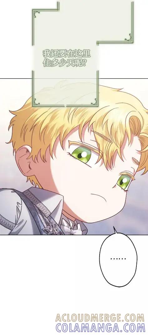 穿越成为暗黑系逆后宫小说男主们的小姨子 - 41 生日礼物 - 第33张图