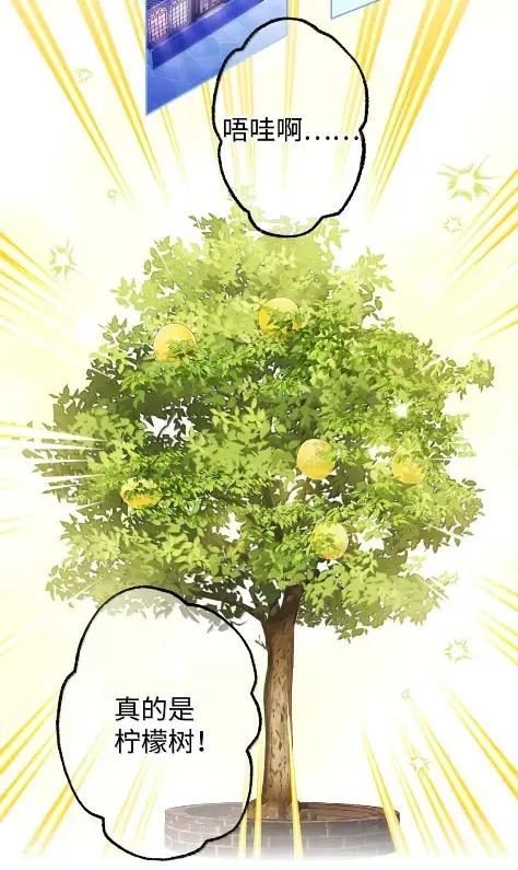 穿越成为暗黑系逆后宫小说男主们的小姨子 - 41 生日礼物 - 第19张图