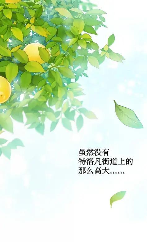 穿越成为暗黑系逆后宫小说男主们的小姨子 - 41 生日礼物 - 第26张图