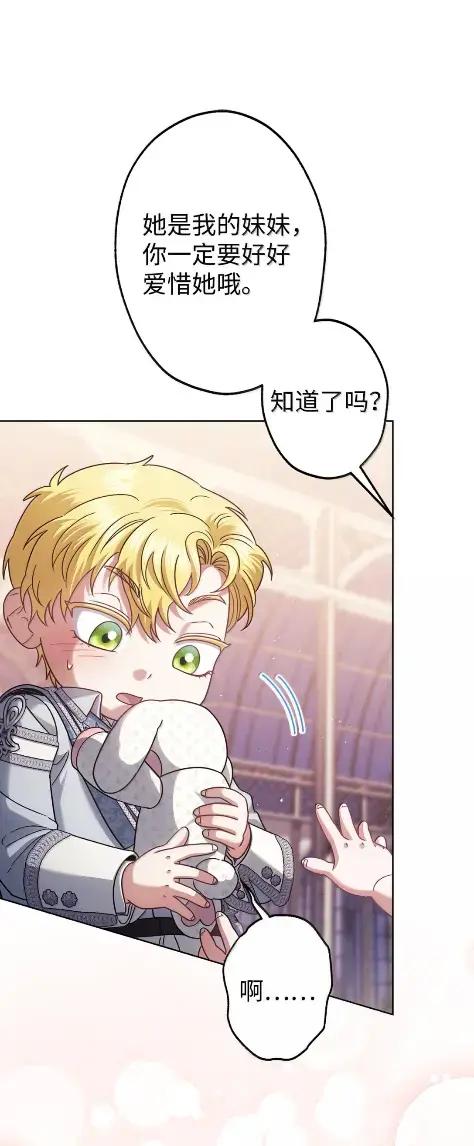 穿越成为暗黑系逆后宫小说男主们的小姨子 - 41 生日礼物 - 第55张图