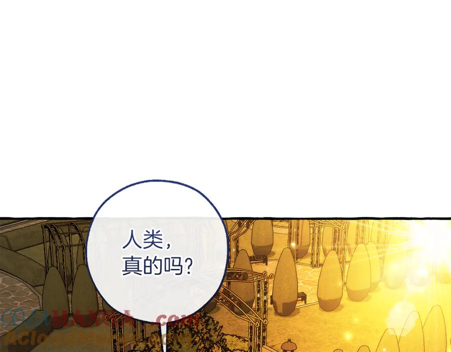 成为伯爵家的废物 第152话 大丰收 第201页