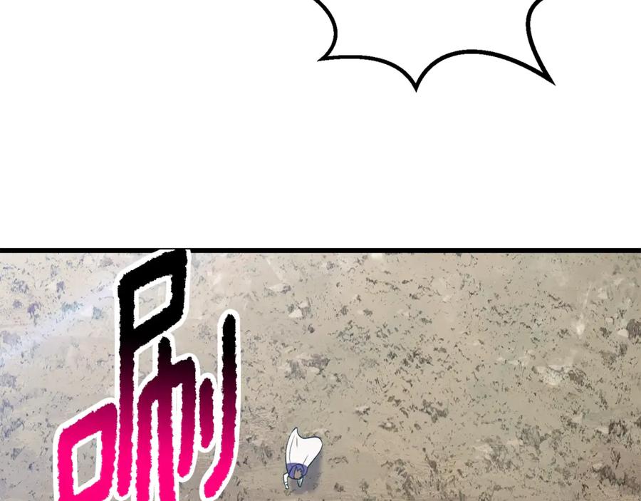 146.jpg